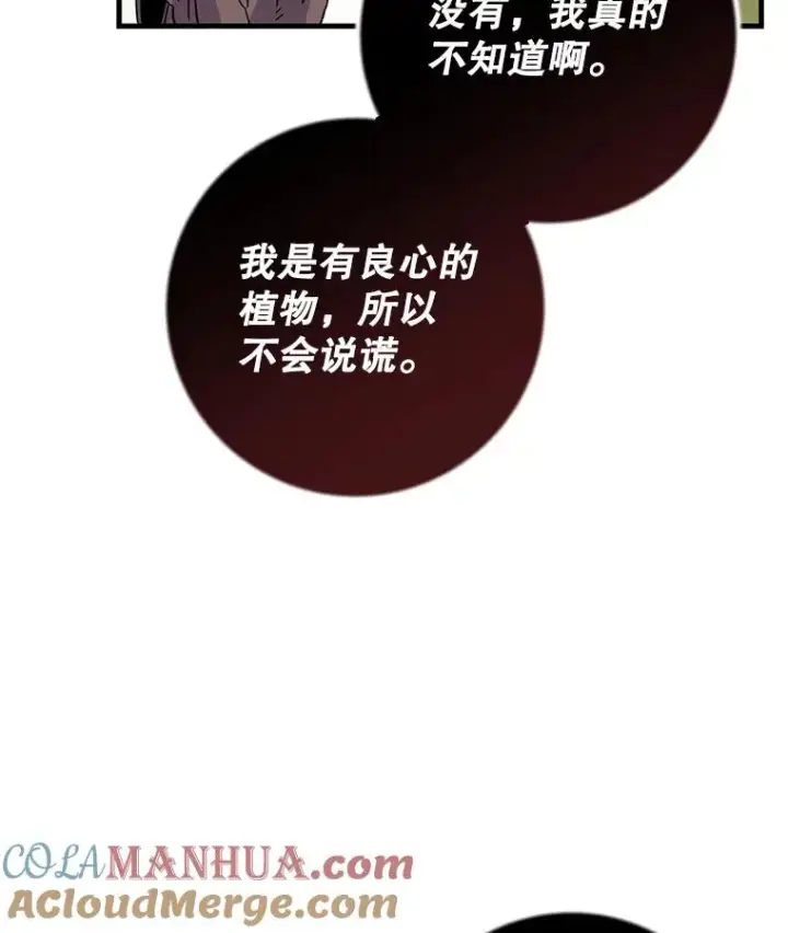 漫画《伊格列特》92.治愈飞蓝龙第37张图