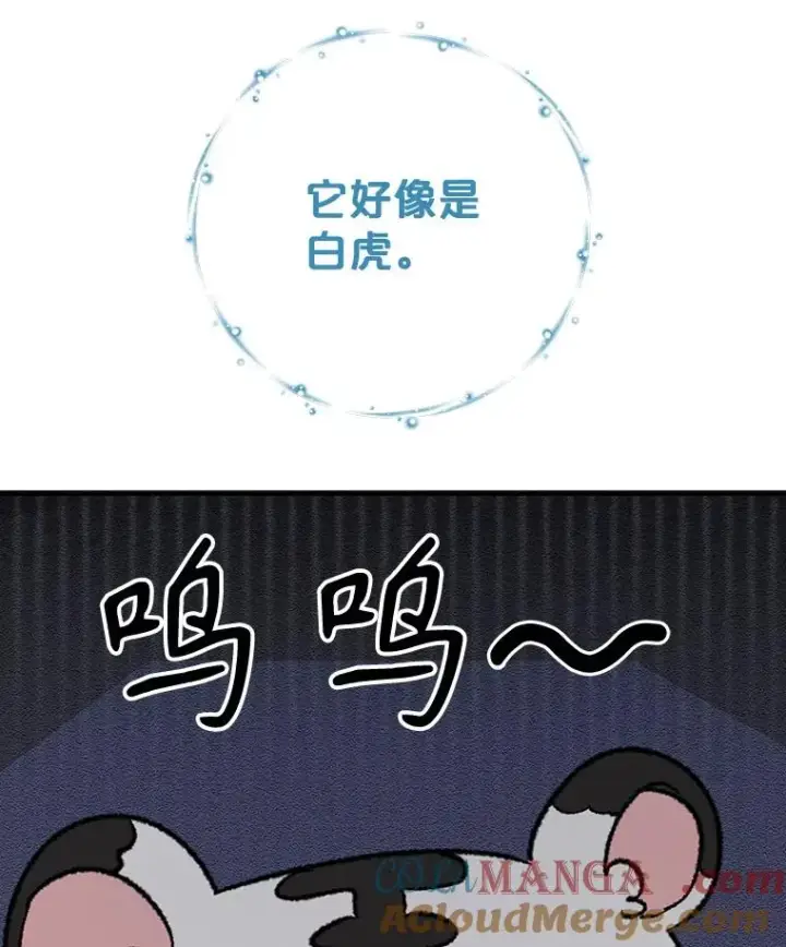漫画《伊格列特》99.白虎的苦衷第33张图
