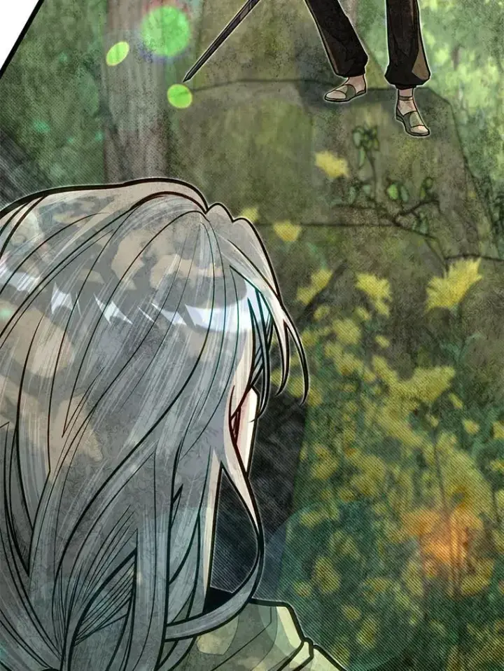 漫画《勇士弟弟是学院老油条》52.凡纳尔传记第12张图