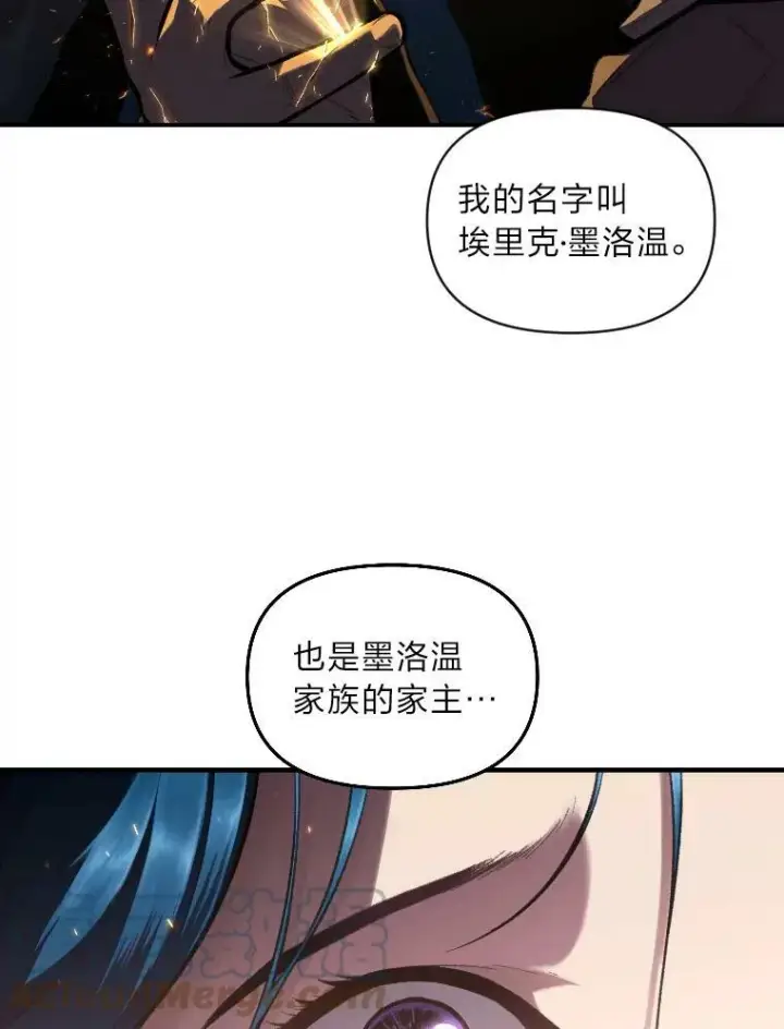 漫画《有才能的魔法师》34.表明身份第13张图