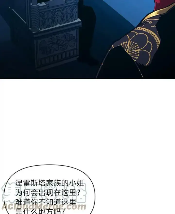 漫画《有才能的魔法师》36.狼狈为奸第40张图