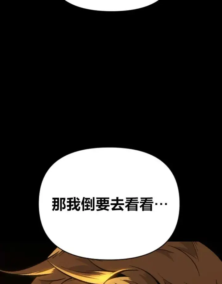 漫画《有才能的魔法师》36.狼狈为奸第5张图