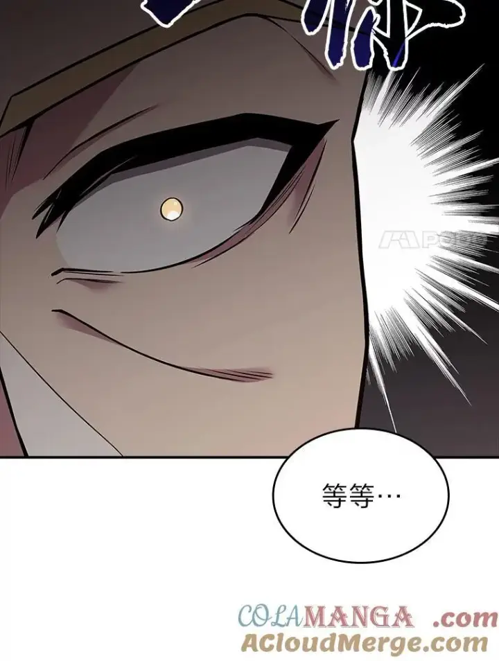 漫画《有才能的魔法师》55.玩于股掌之上第117张图
