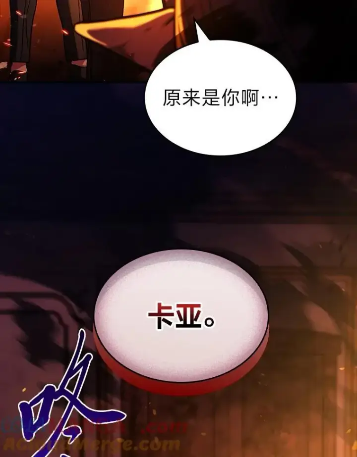 漫画《有才能的魔法师》55.玩于股掌之上第21张图