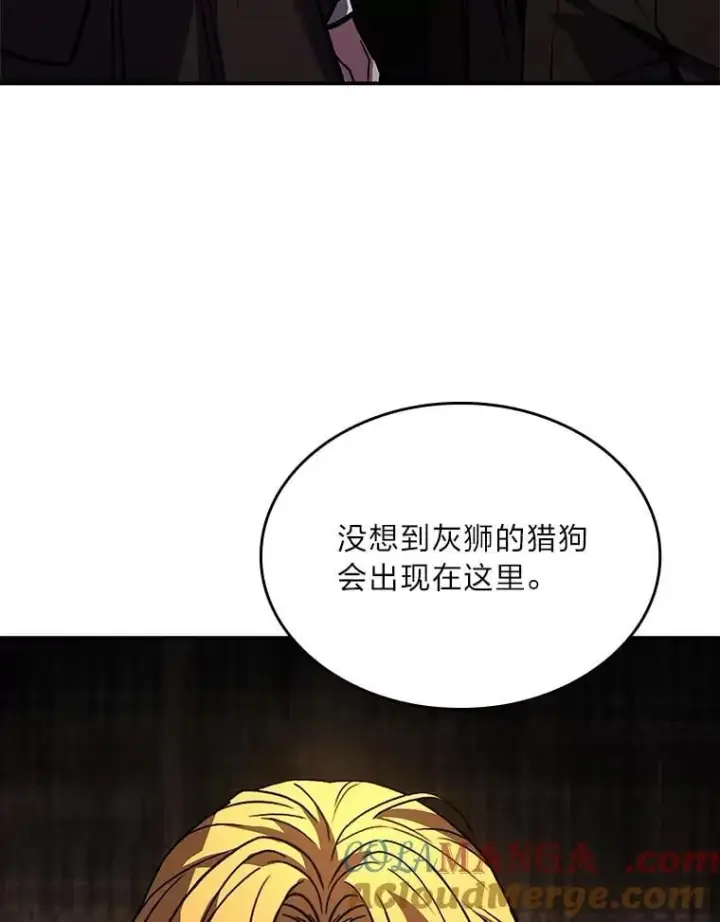 漫画《有才能的魔法师》62.一个妙计第33张图