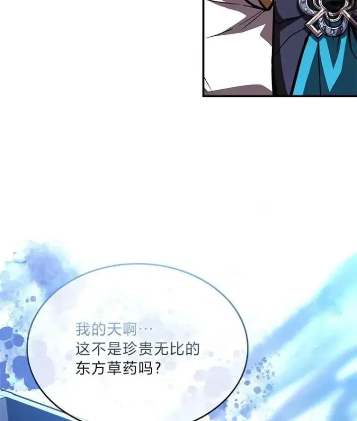 漫画《有才能的魔法师》69.传说中的英雄王第126张图