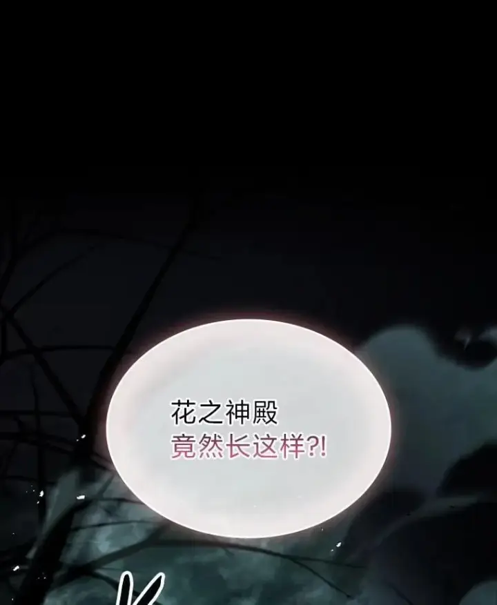 漫画《有才能的魔法师》70.喜添新“师父”第148张图