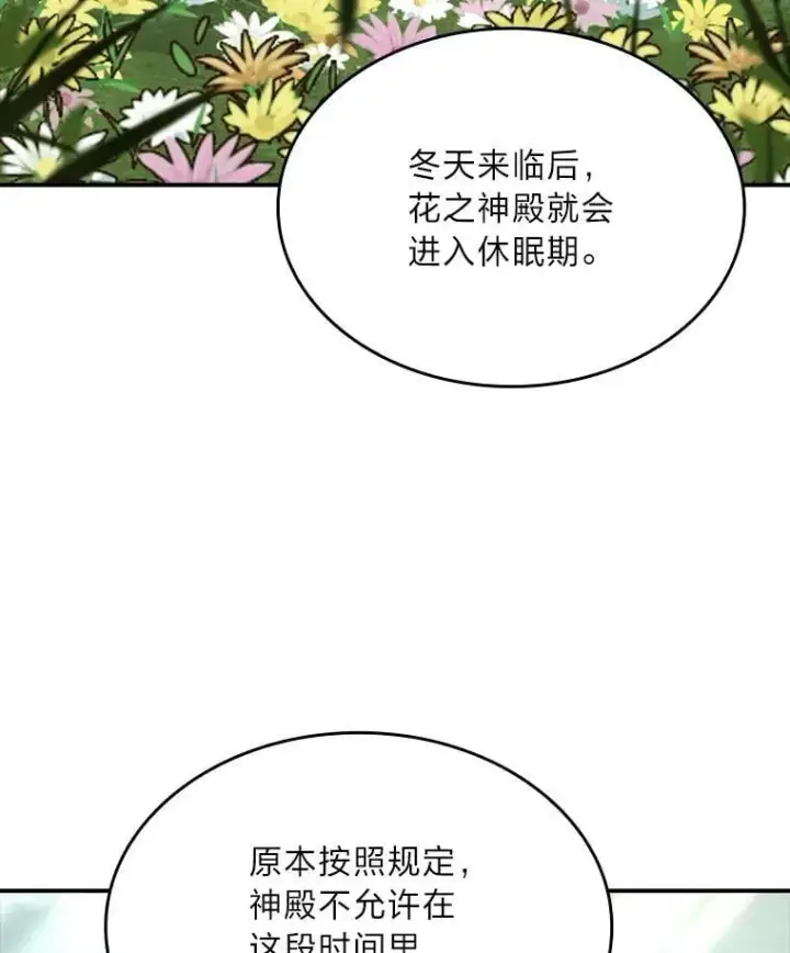 漫画《有才能的魔法师》71.破败的神殿第55张图