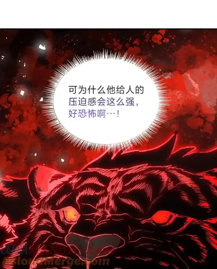 漫画《有才能的魔法师》75.初遇律虎王第73张图