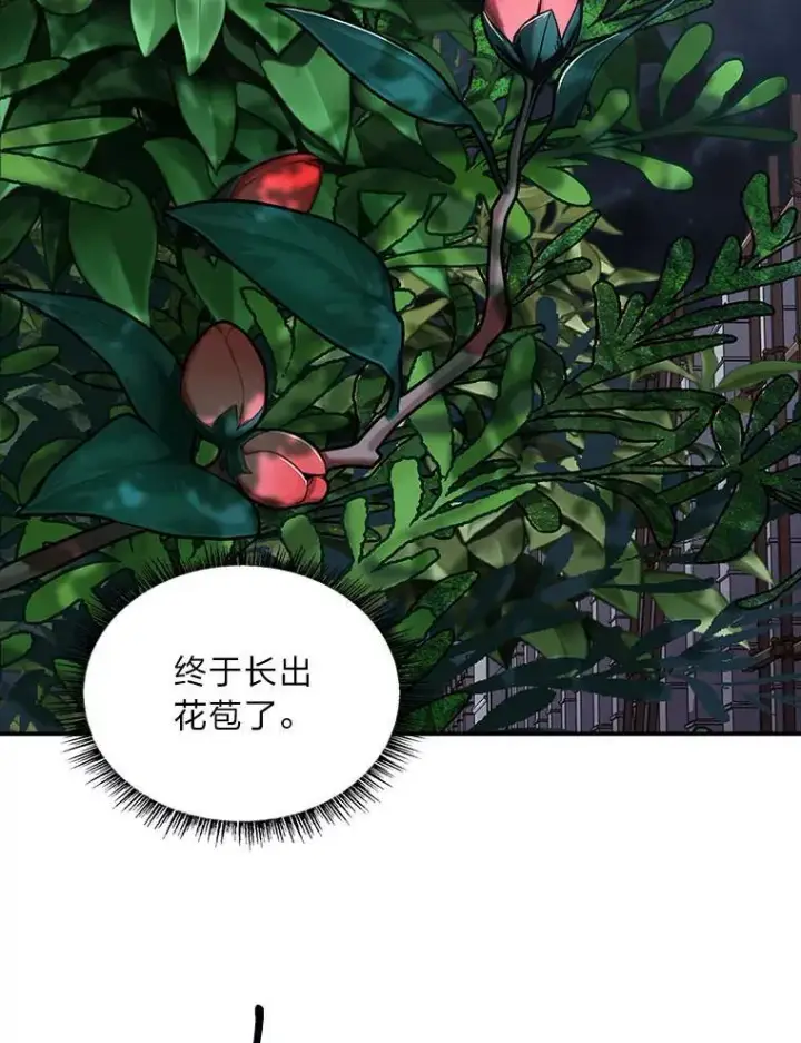 漫画《有才能的魔法师》79.严寒袭卷而来第52张图