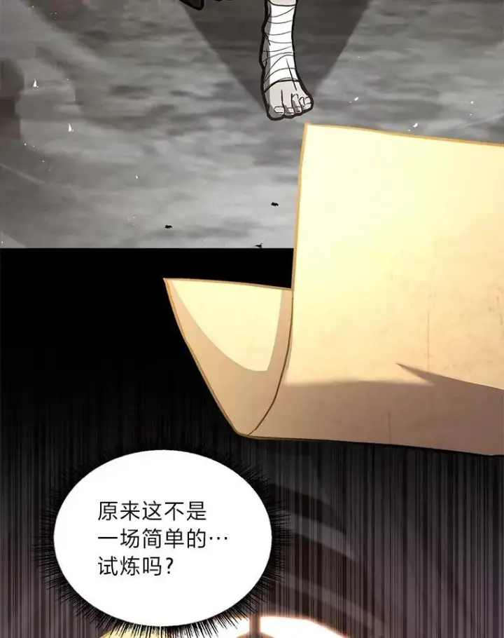 漫画《有才能的魔法师》96.律虎王的日记第154张图