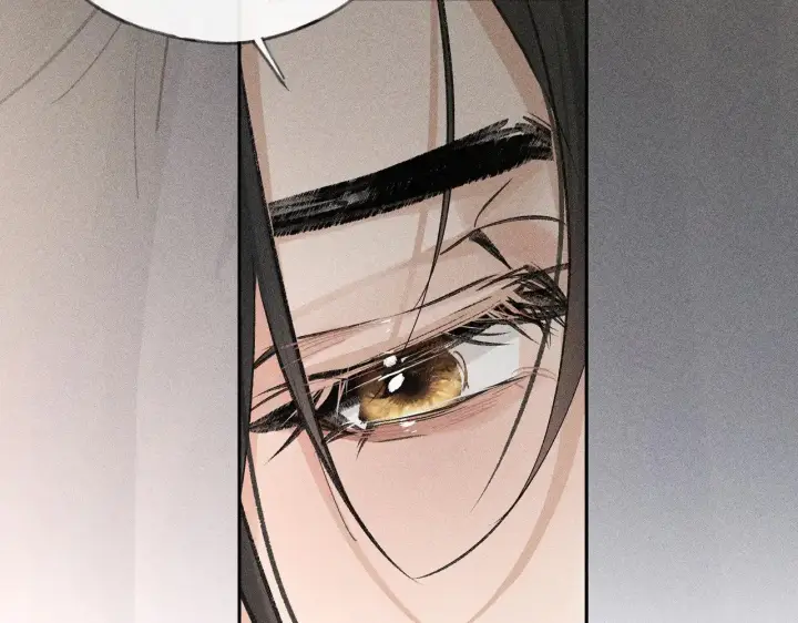 漫画《诱敌深入》33 从来不清白第111张图