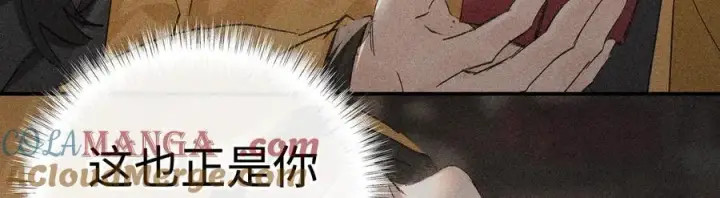 漫画《诱敌深入》52 若非有几分像他第13张图