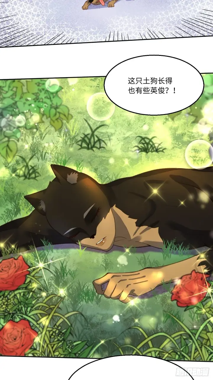 漫画《原来我是修仙大佬》127话第12张图