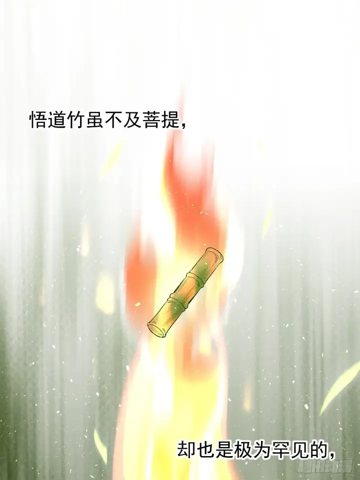 漫画《原来我是修仙大佬》第三十话第12张图