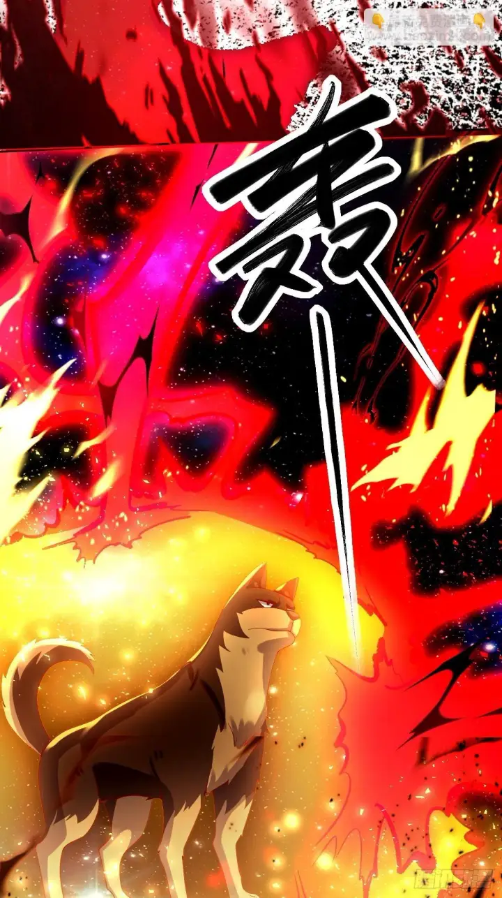 漫画《原来我是修仙大佬》431话第16张图