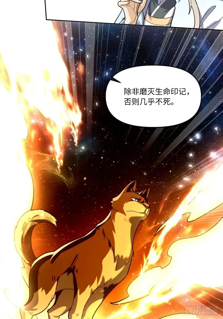 漫画《原来我是修仙大佬》431话第42张图