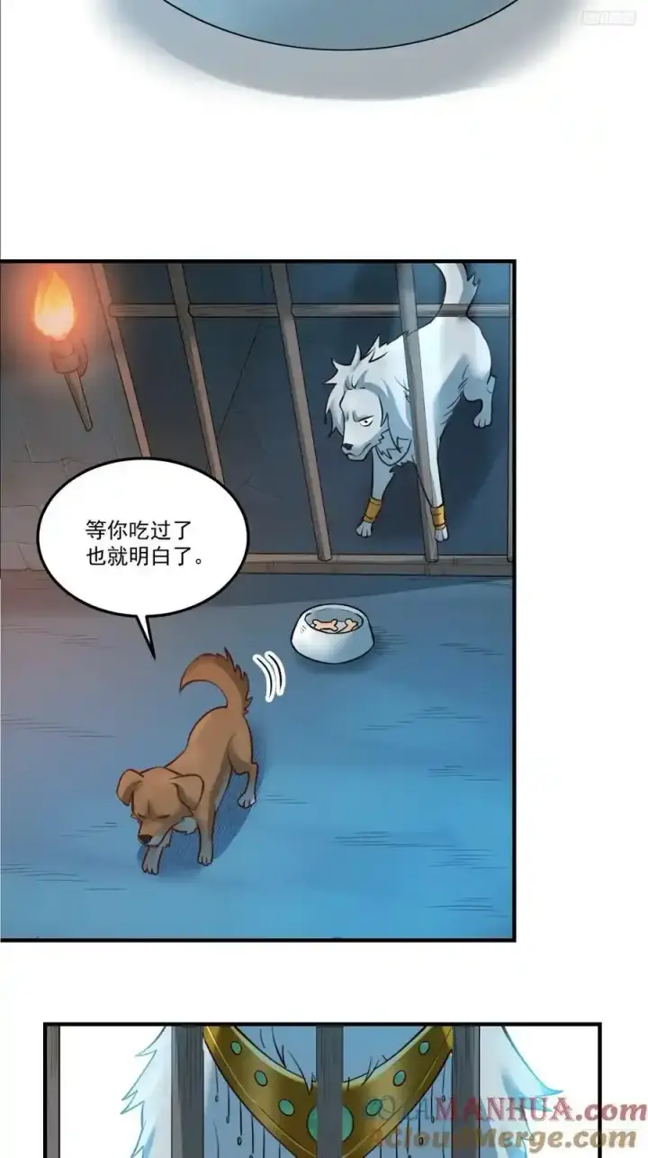 漫画《原来我是修仙大佬》352话第7张图