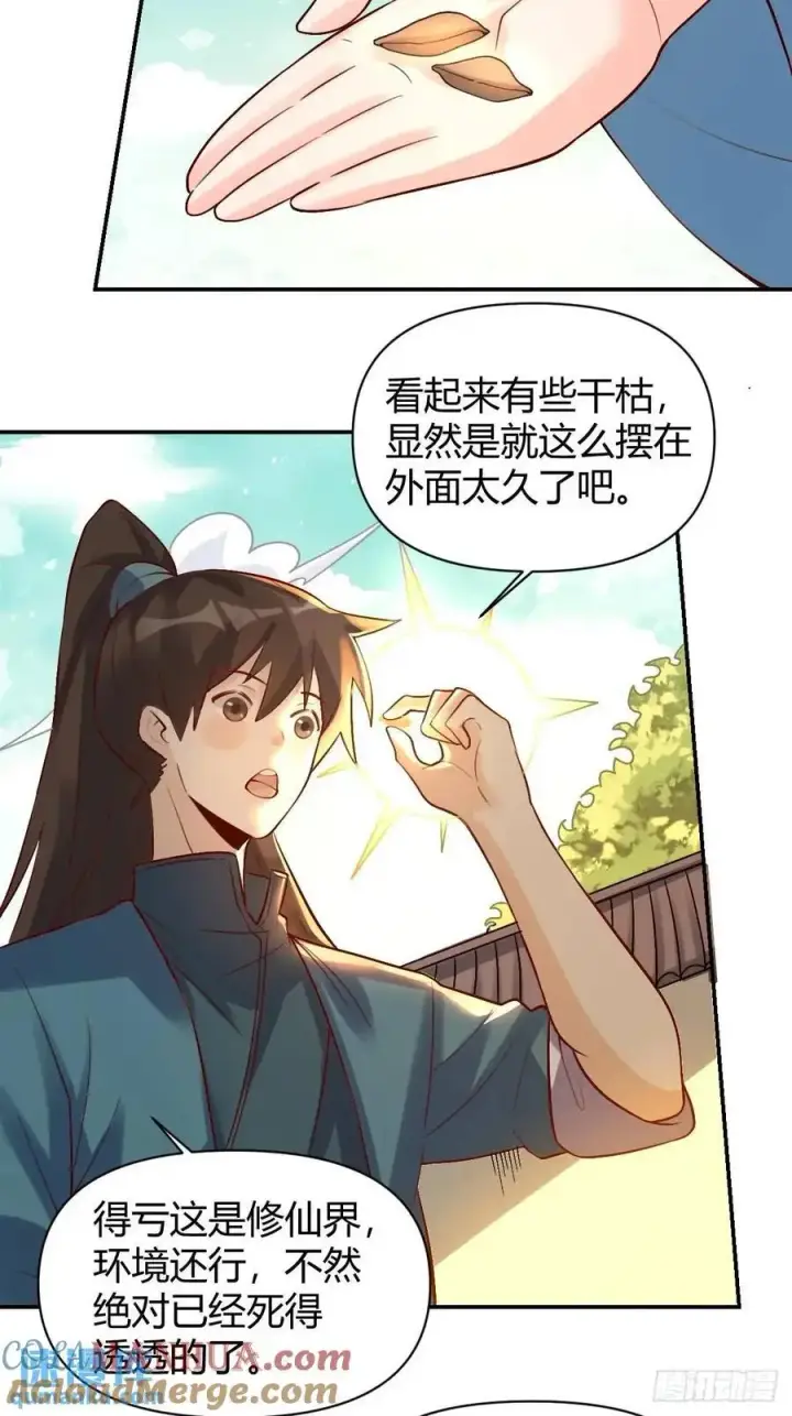 漫画《原来我是修仙大佬》318话第29张图