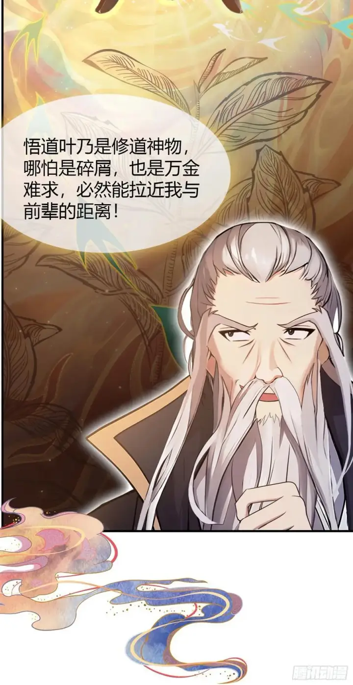 漫画《原来我早就无敌了》第26话 整片悟道叶泡的茶？第24张图