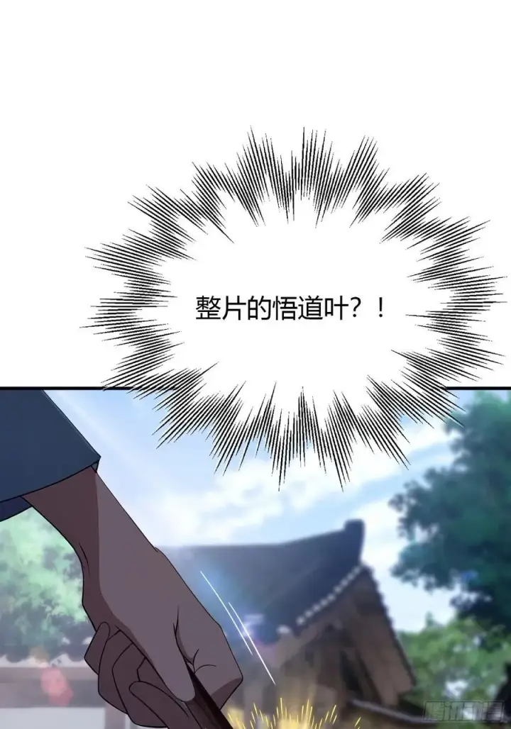 漫画《原来我早就无敌了》第26话 整片悟道叶泡的茶？第27张图