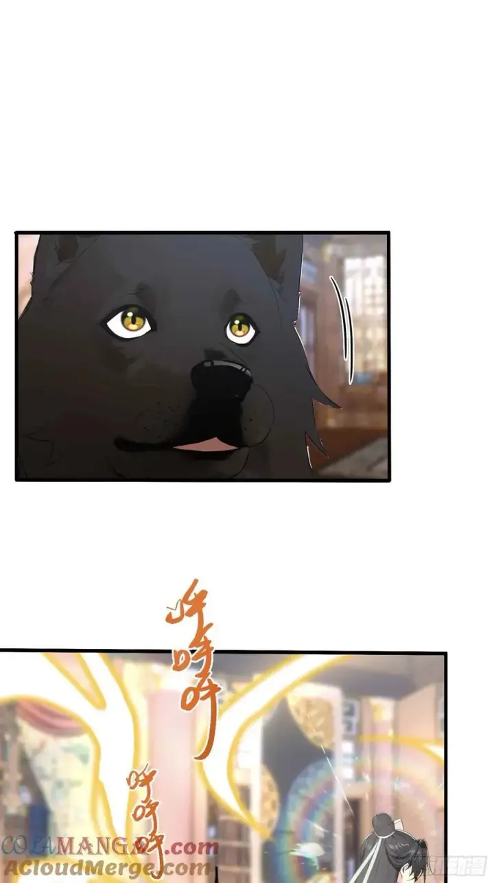 漫画《原来我早就无敌了》第181话 是自愿的就别眨眼！第13张图