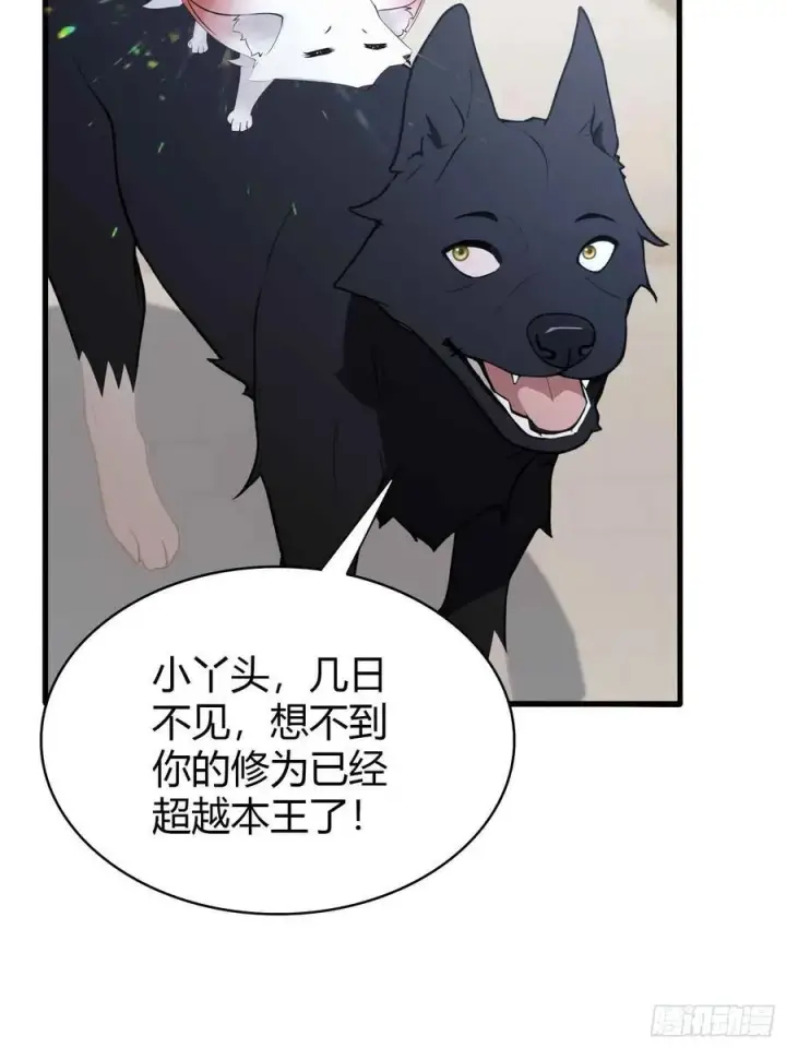 漫画《原来我早就无敌了》第181话 是自愿的就别眨眼！第6张图