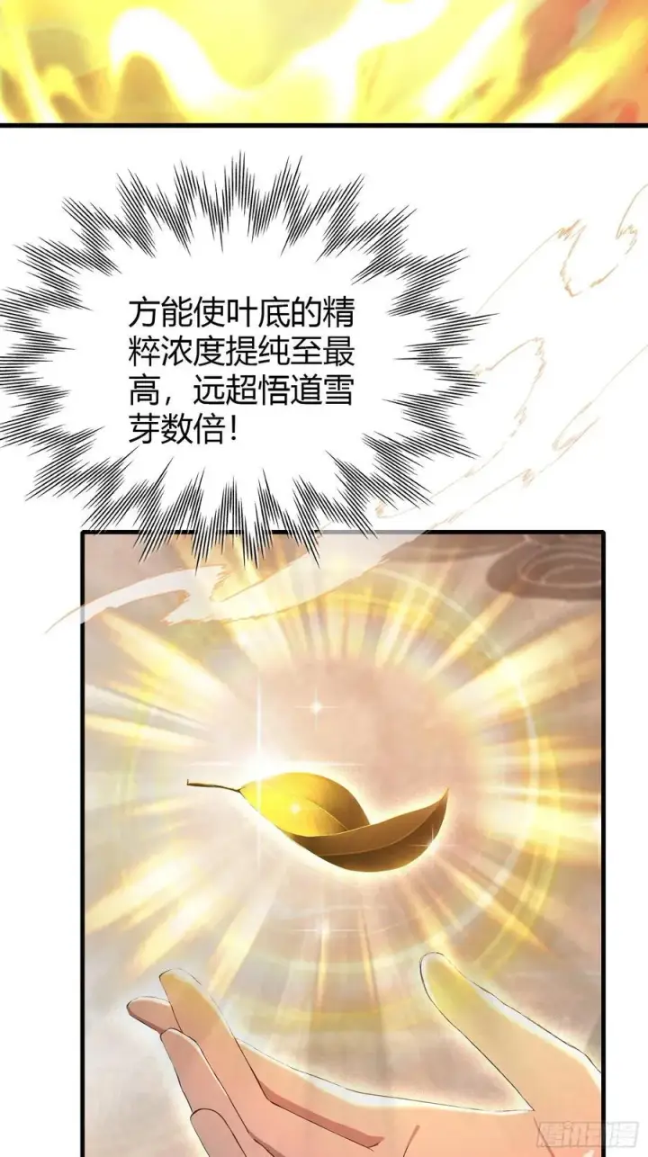 漫画《原来我早就无敌了》第205话 看学历吗，我新东方第14张图