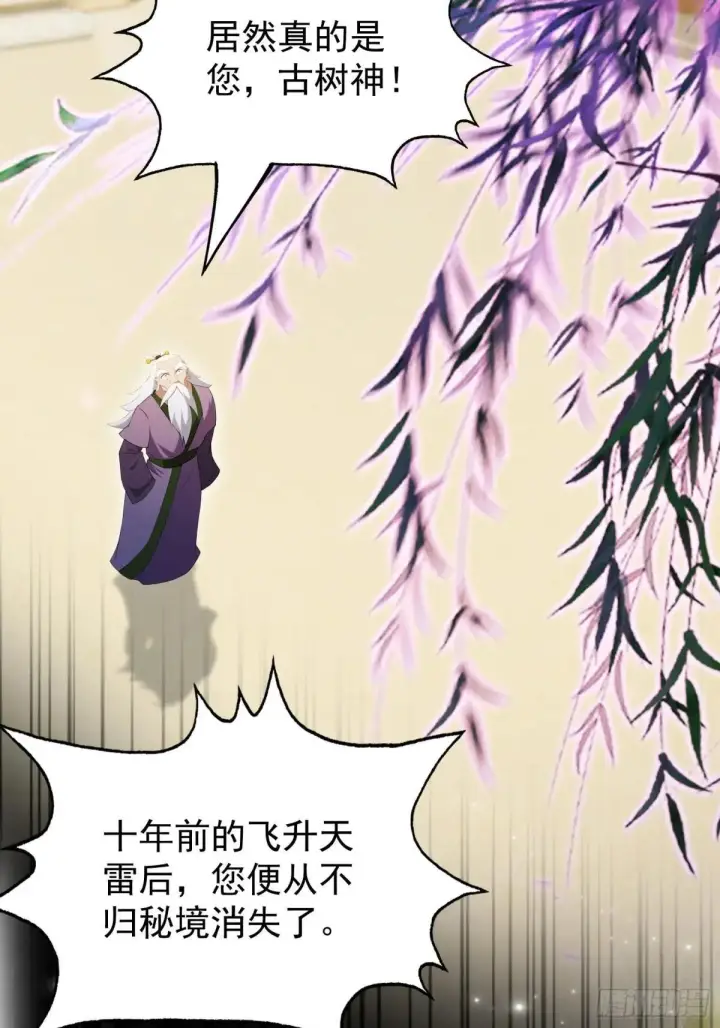 漫画《原来我早就无敌了》第250话 自有古树神为我背书第43张图