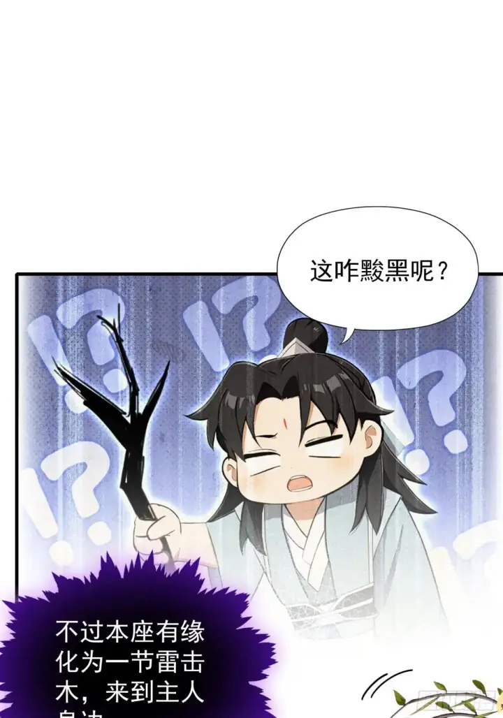 漫画《原来我早就无敌了》第250话 自有古树神为我背书第51张图