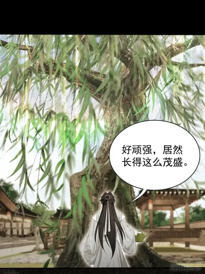漫画《原来我早就无敌了》第264话 主人，似乎要离去了第29张图