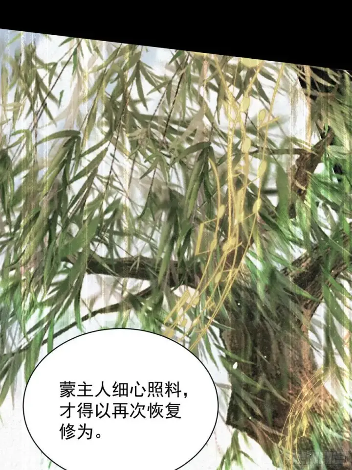 漫画《原来我早就无敌了》第264话 主人，似乎要离去了第32张图