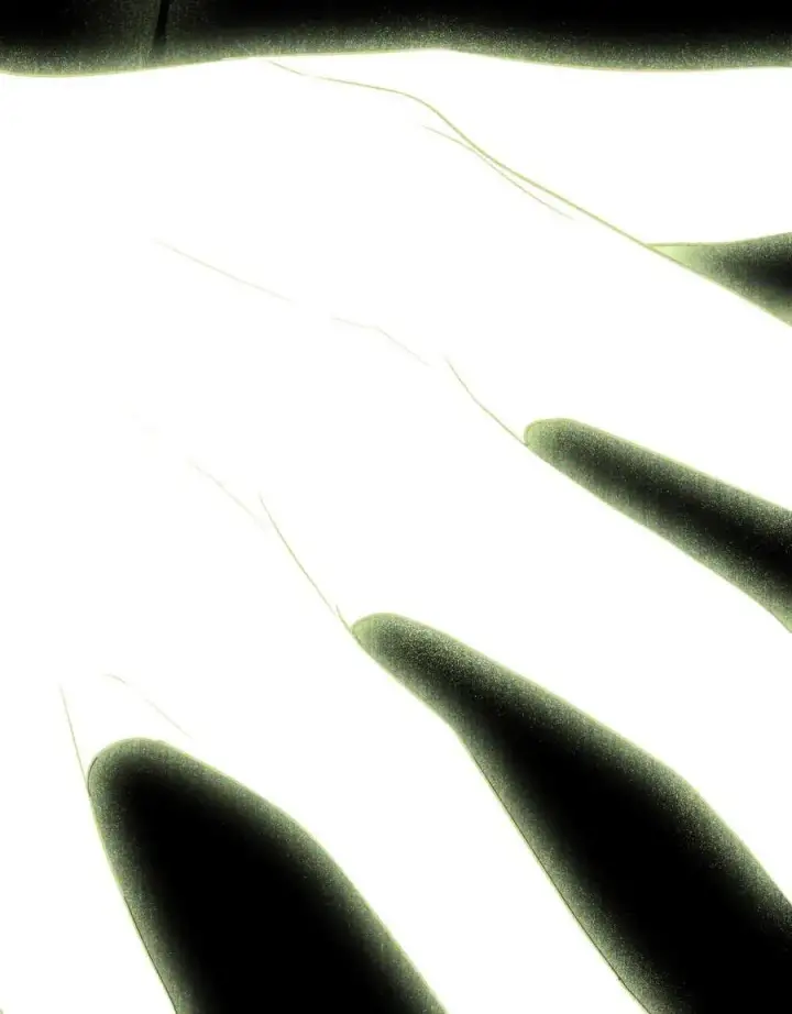 漫画《与善良的仇人政治联姻》第39话第11张图