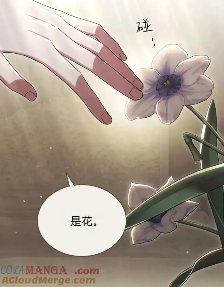 漫画《与善良的仇人政治联姻》第42话第65张图