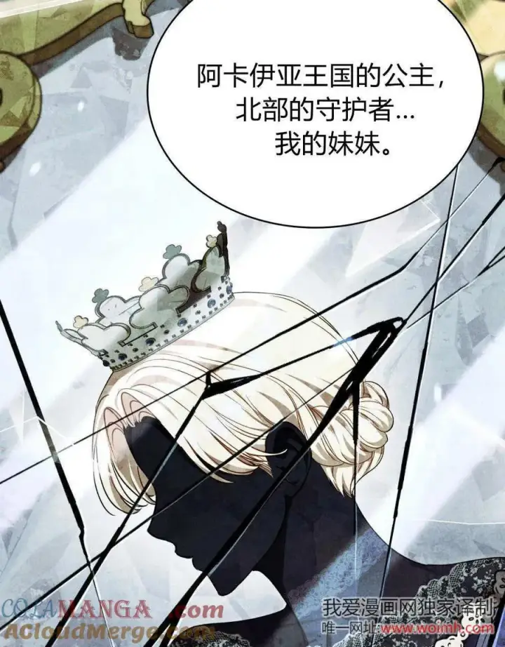 漫画《与善良的仇人政治联姻》第63话第13张图