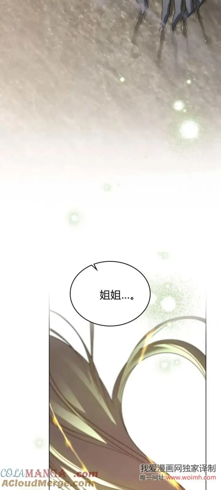 漫画《与善良的仇人政治联姻》第68话第49张图