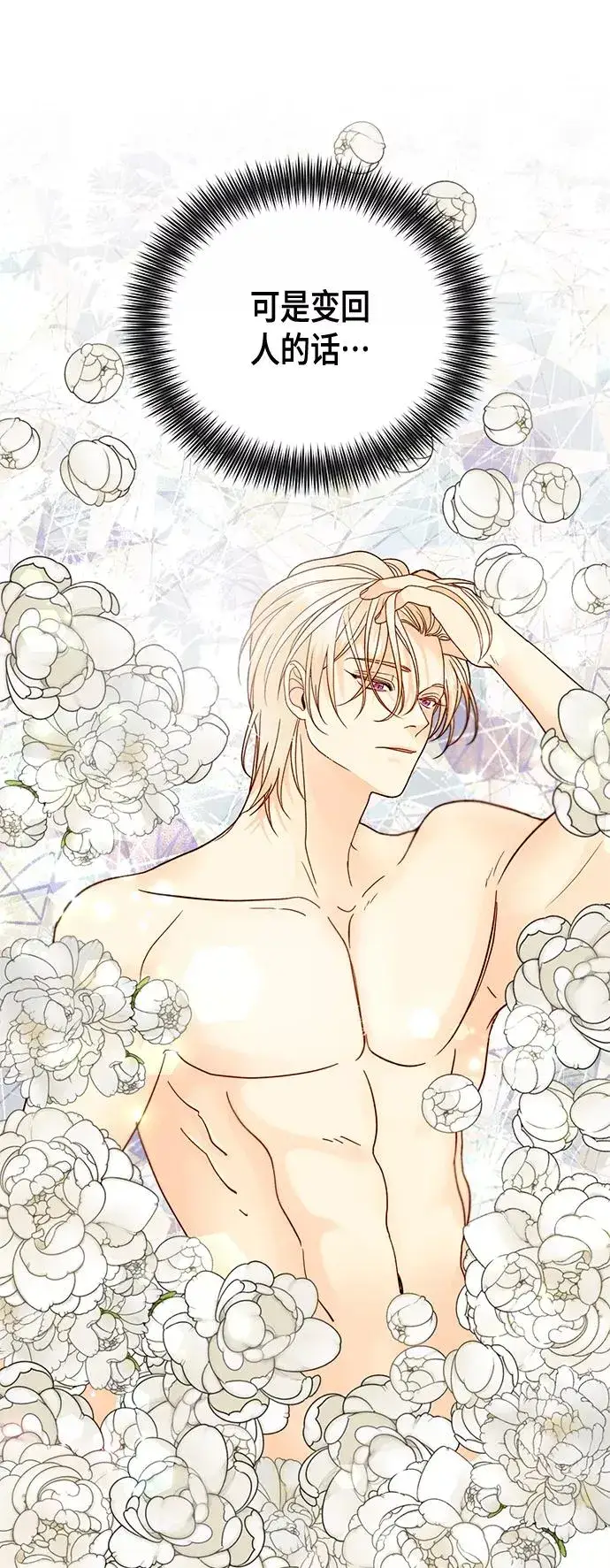 漫画《再婚皇后》第97话第41张图