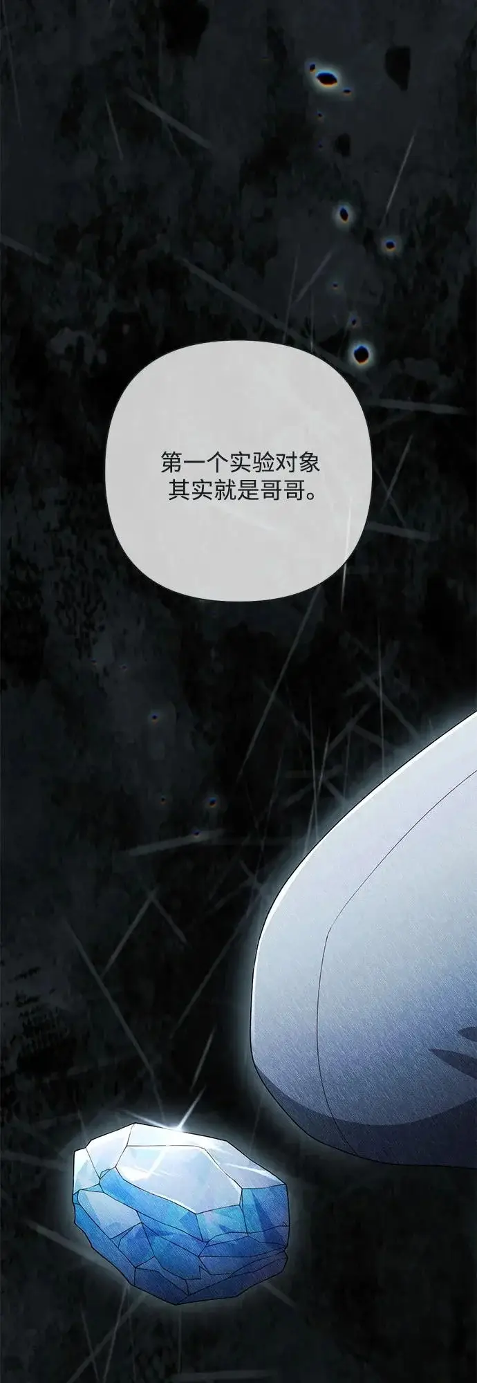 漫画《再婚皇后》第247话（完结）第47张图