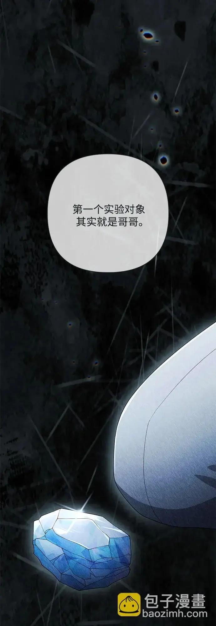 漫画《再婚皇后》第247话（最终话）第47张图