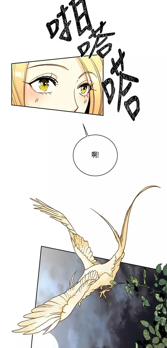 漫画《再婚皇后》第8话第11张图