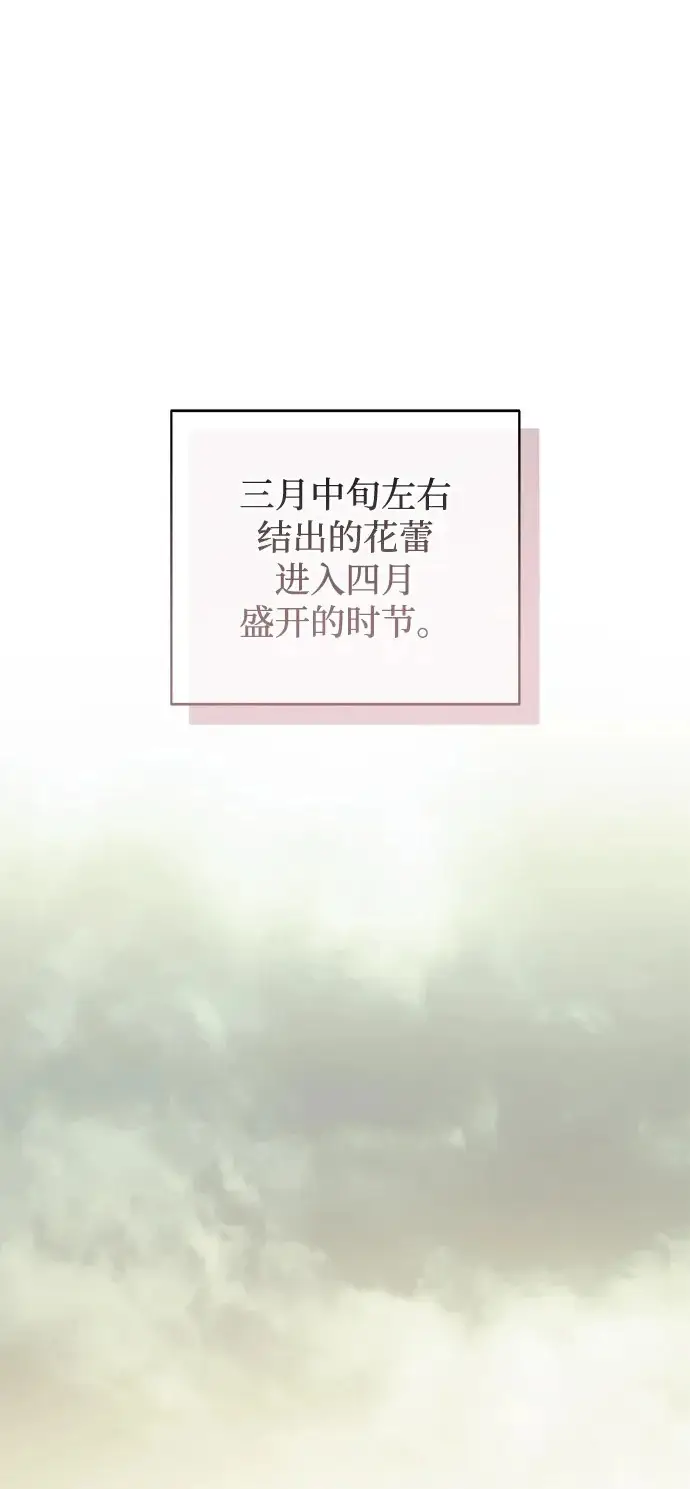 漫画《憎恨我的丈夫失忆了》外传 1话第83张图