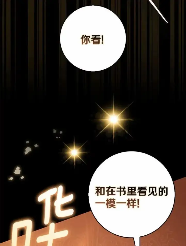 漫画《占卜的公女》48.如愿第28张图