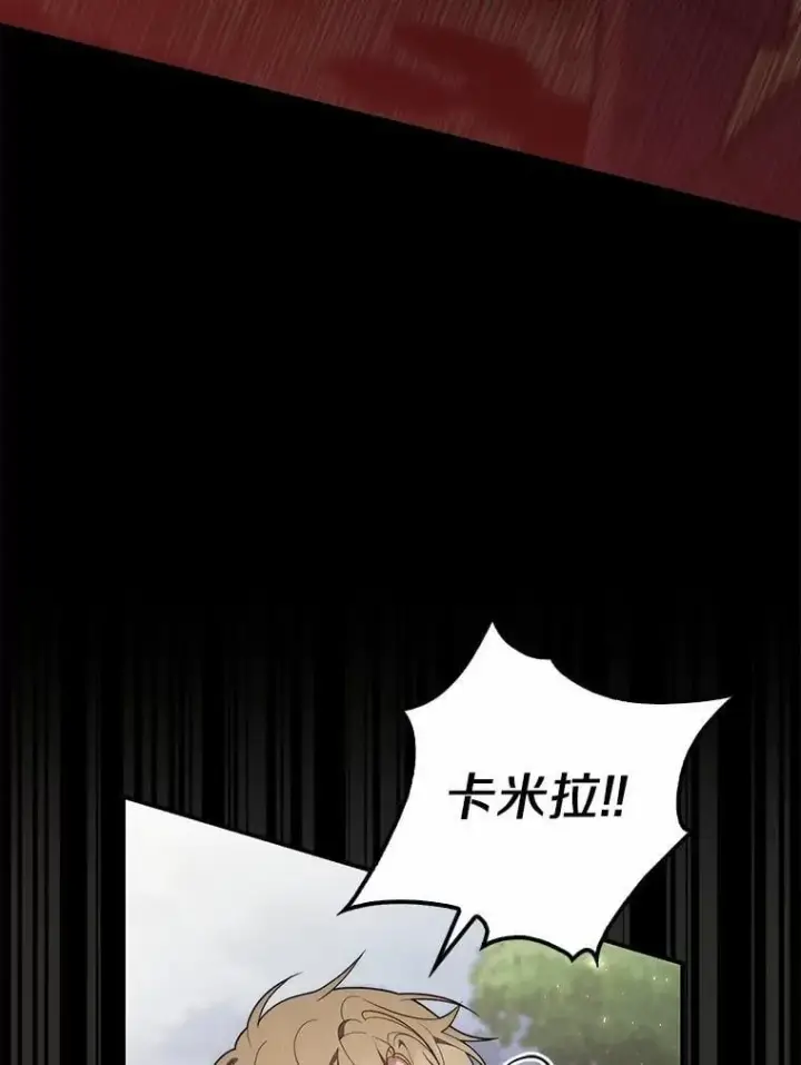 漫画《占卜的公女》54.你要袖手旁观吗？第31张图