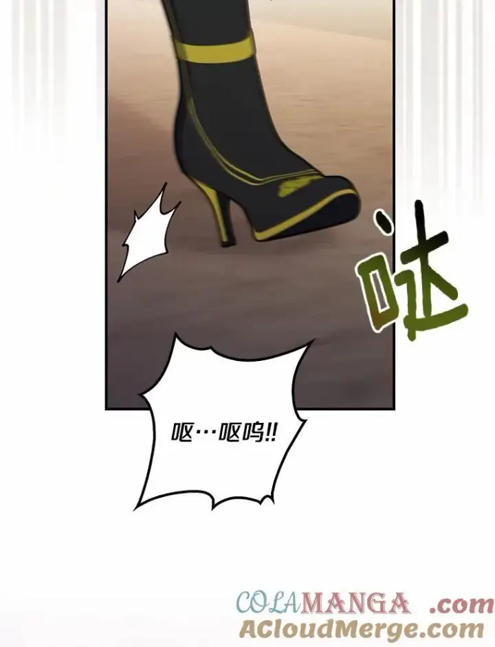 漫画《占卜的公女》55.有人要见您第65张图