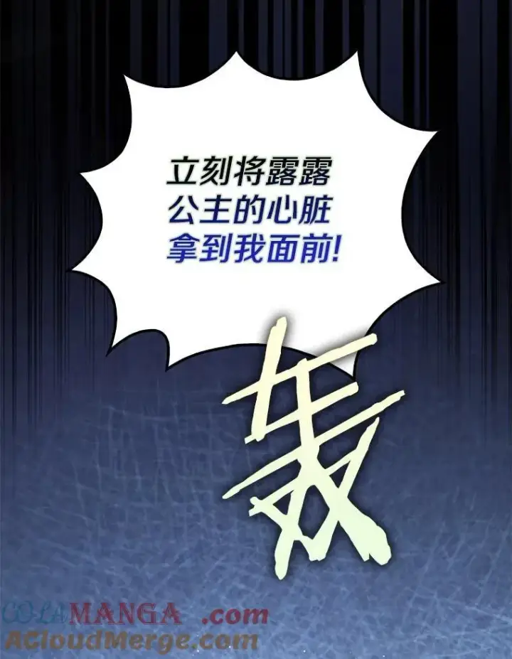 漫画《占卜的公女》61.还有希望第101张图