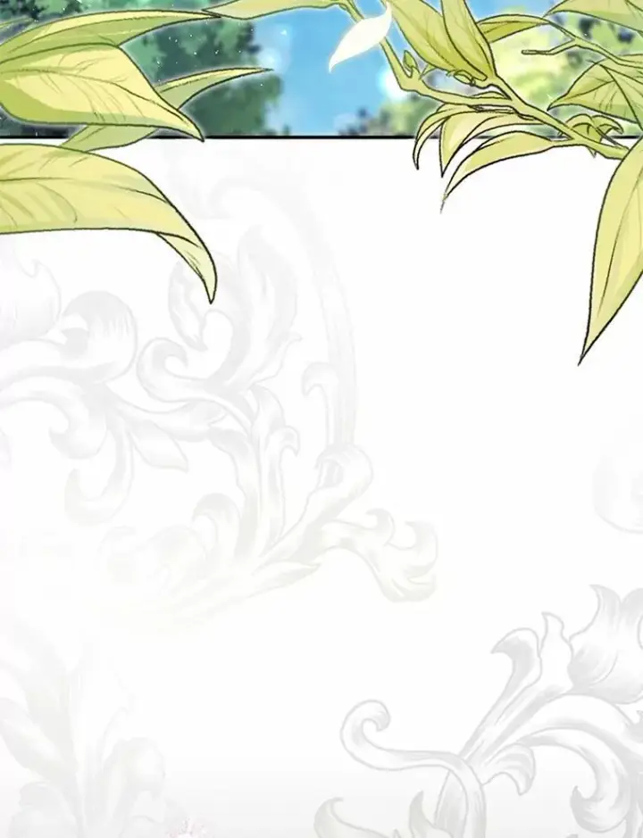 漫画《占卜的公女》61.还有希望第11张图