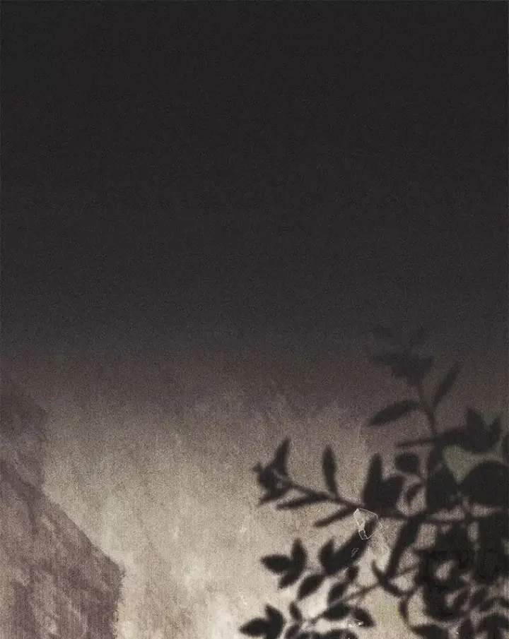 漫画《占卜的公女》66.太像了第15张图