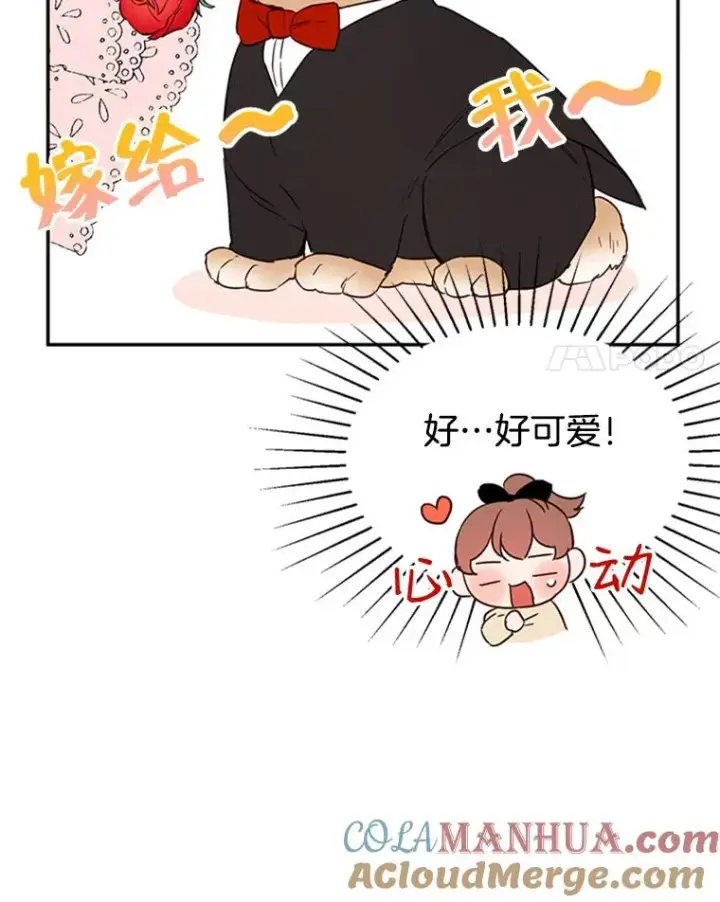 漫画《丈夫候选人》23.寻求帮助第73张图