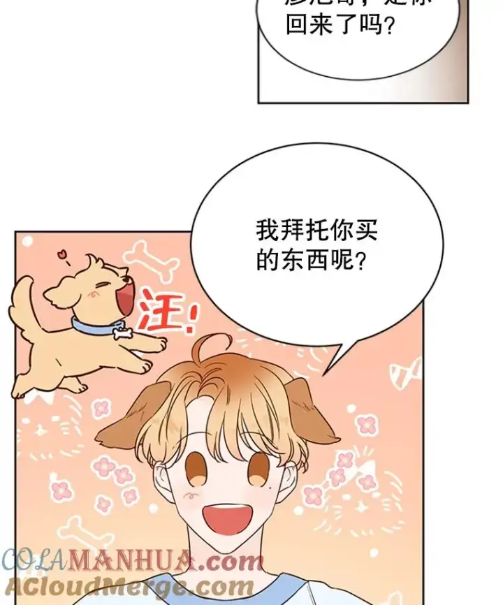 漫画《丈夫候选人》40.不速之客第40张图