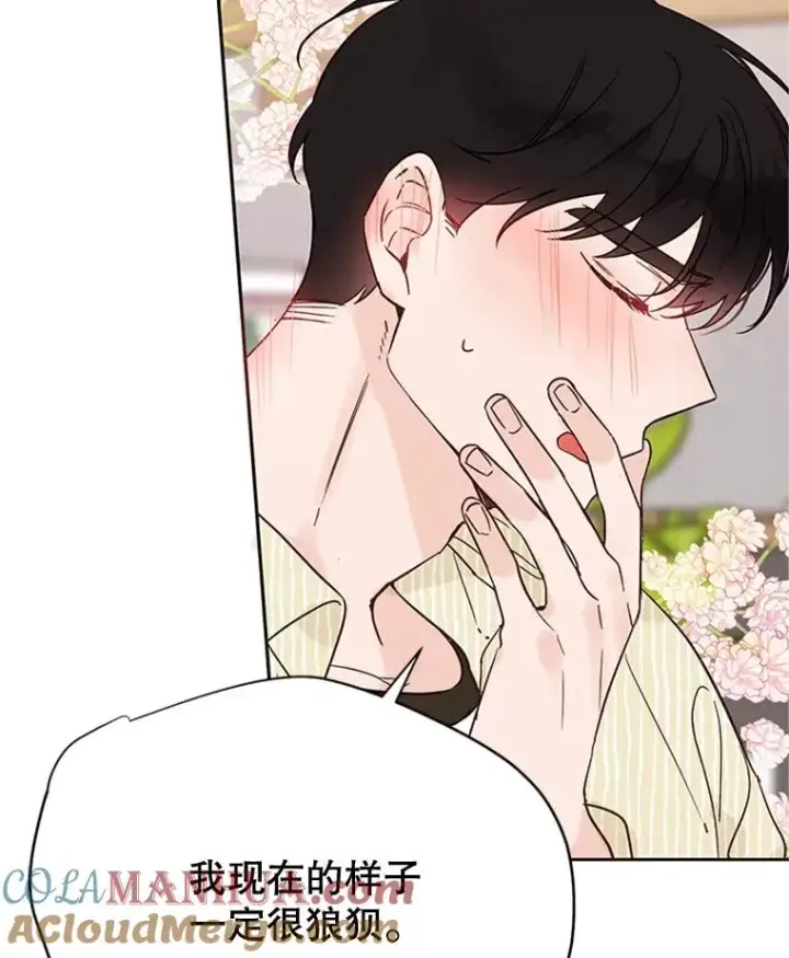 漫画《丈夫候选人》48.双向告白第49张图
